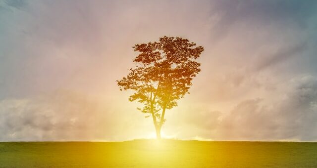 Patricia Pat A. Laughlin