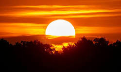 Phd Leroy Waggoner Morrow