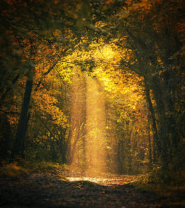 Glenn R. Wantje, Sr.