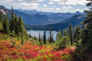 Mountain Lake Surrounded By Evergreen Forest and Autumn Red Foliage