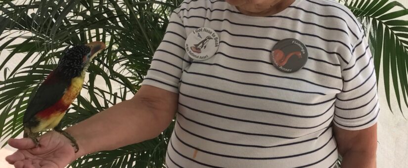 Ruth Ann Queck Obituary, McMurray, PA